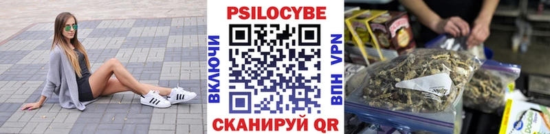 цена   Сланцы  kraken ONION  Псилоцибиновые грибы прущие грибы 